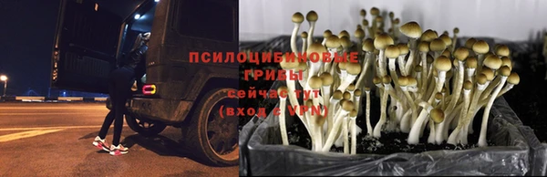 амфетамин Богородицк