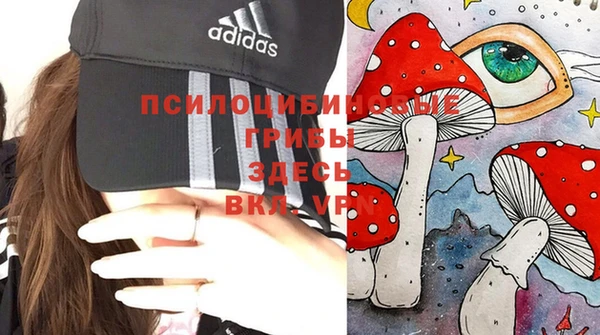амфетамин Богородицк