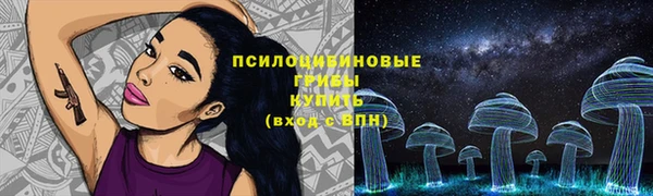 героин Богданович