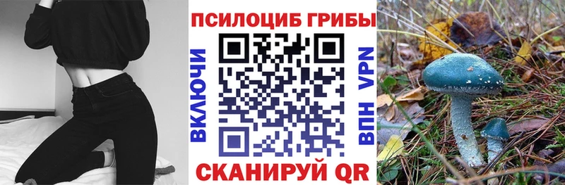 Галлюциногенные грибы мицелий  хочу   blacksprut как войти  Верещагино 